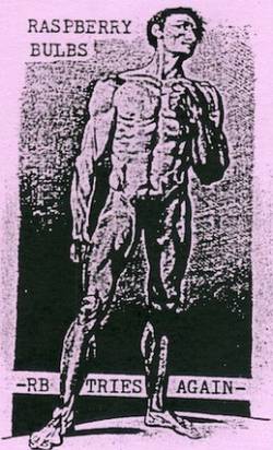 Raspberry Bulbs : RB Tries Again Raspberry Bulbs : RB Tries Again